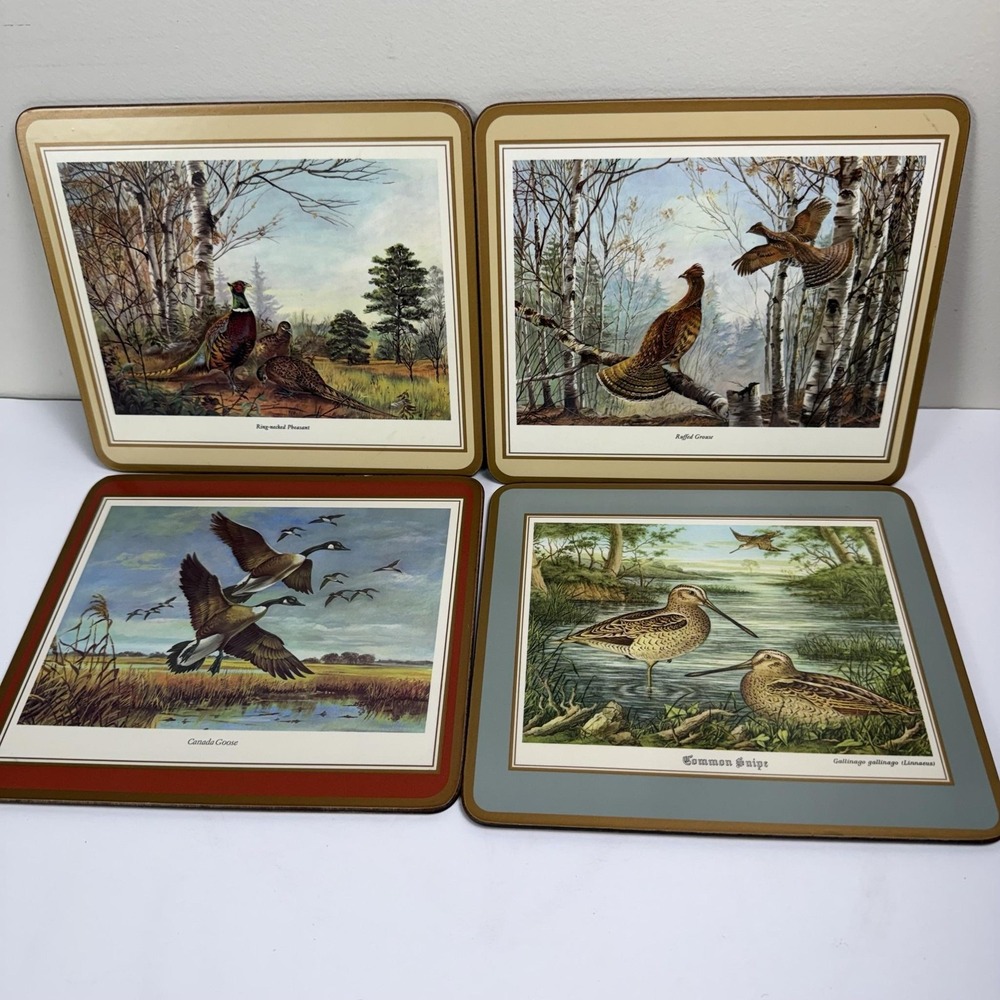 Game Bird Cork Placemats Set Of 4 Plastic Canada Goose Pheasant Grouse Snipe